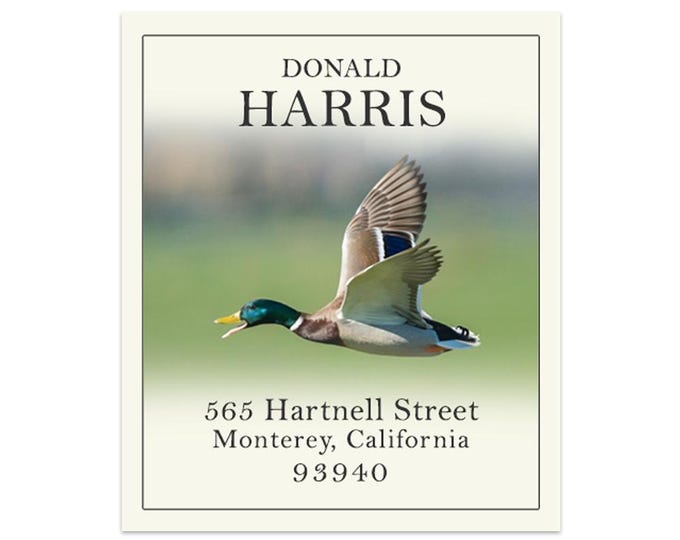 Flying Duck - Return Address Labels