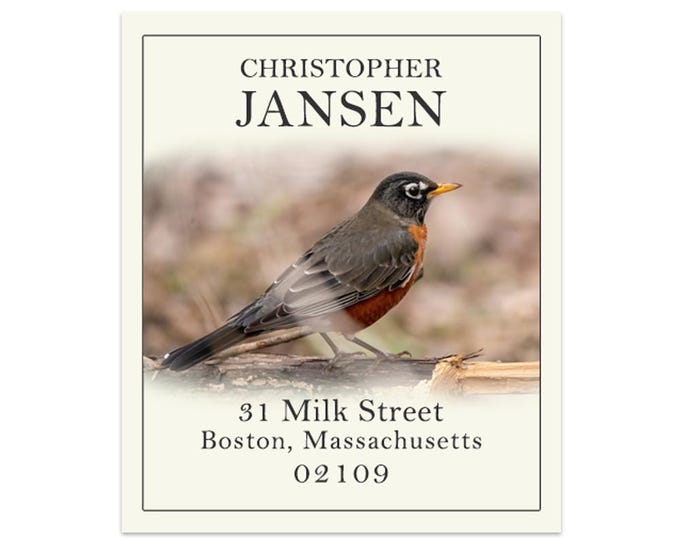 Spring Robin - Return Address Labels