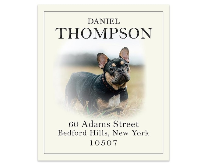 French Bulldog - Return Address Labels