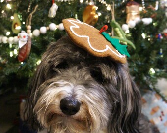 Mini boina de jengibre para perros y gatos