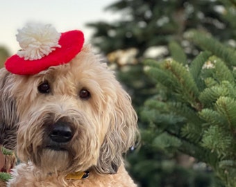Pom Pom Beret for Dogs (21+ Colors!)