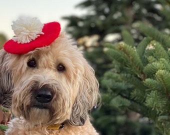 Pom Pom Holiday Beret for Dogs