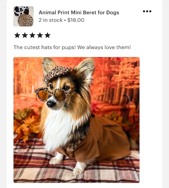 Animal Print Mini Beret for Dogs - Etsy display picture 2
