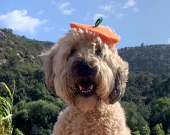 Mini Pumpkin Beret for Dogs
