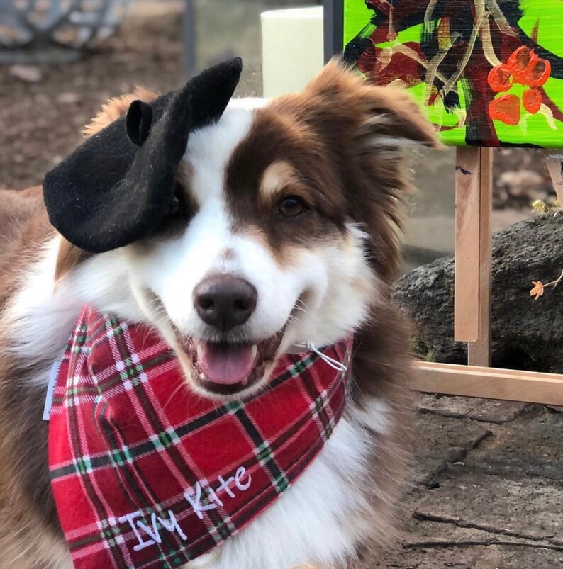 Mini Beret Hat for Dogs 15 Colors Etsy