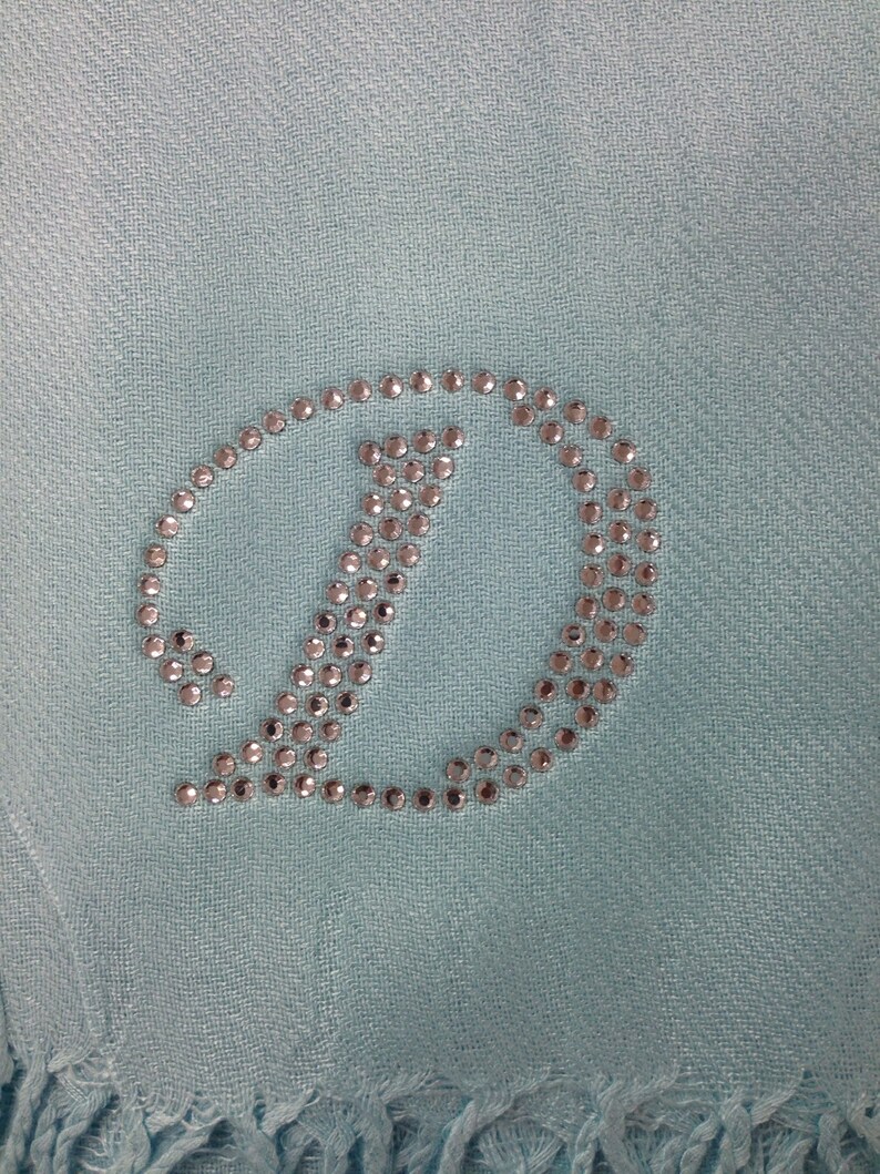 aqua pashmina shawl