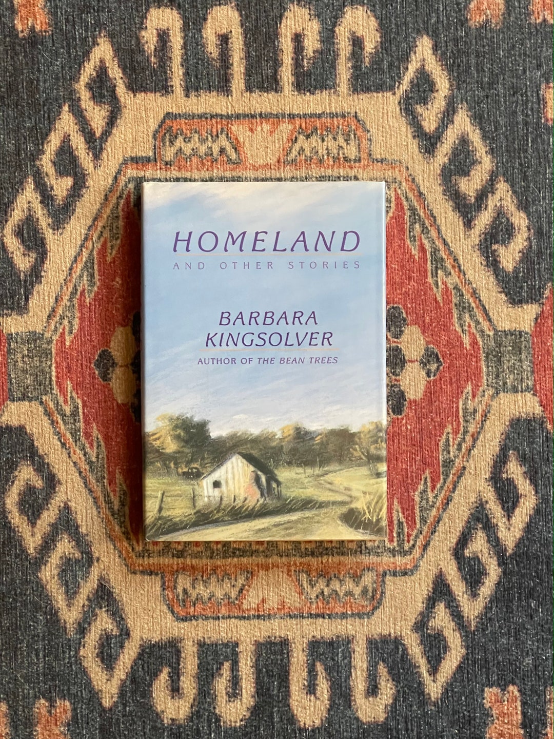 Homeland by Barbara Kingsolver First Edition Etsy UK