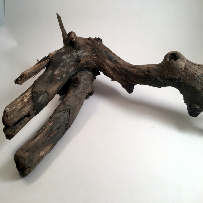 Driftwood Art Aquarim Driftwood Natural Wood Sculptured Driftwood Eco Friendly Decor,Nautical Centerpiece Beach Wedding