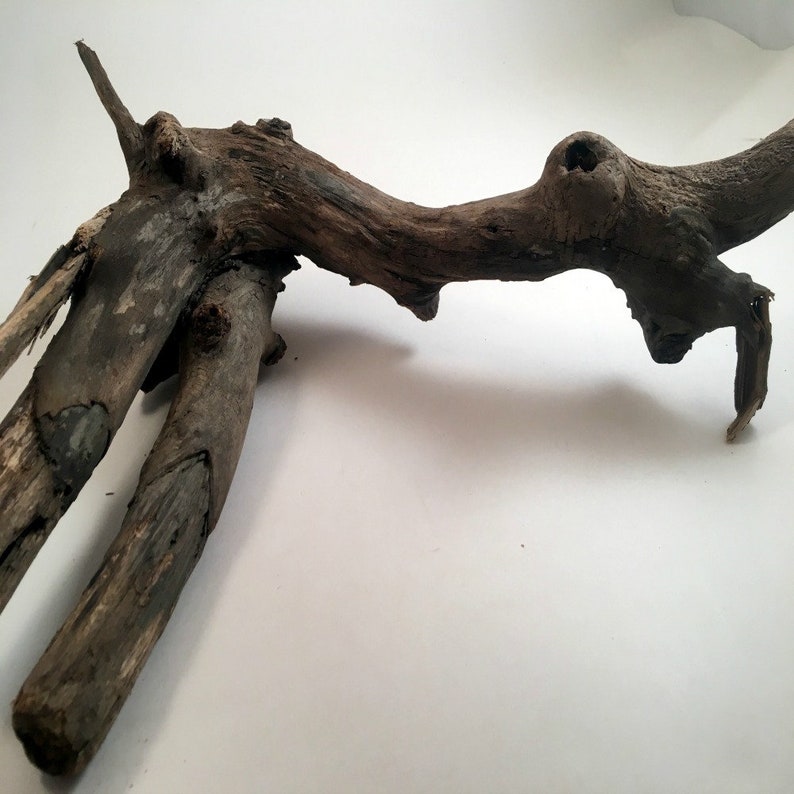 Driftwood Art Aquarim Driftwood Natural Wood Sculptured Driftwood Eco Friendly Decor,Nautical Centerpiece Beach Wedding