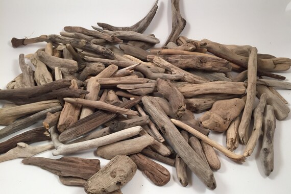 Driftwood Pices Lake Erie Drift Wood Craft Driftwood DIY 