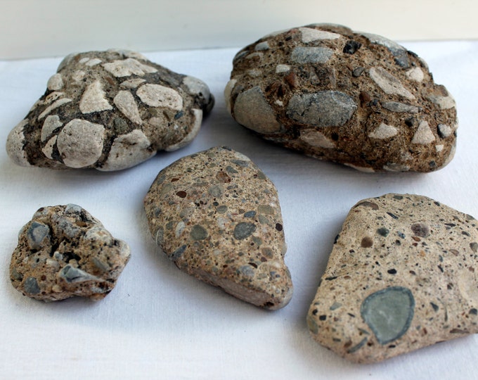Terrazzo Stones Pudding Stones Conglomerate Style Lake Erie Craft Supplies Aquarium Terrarium