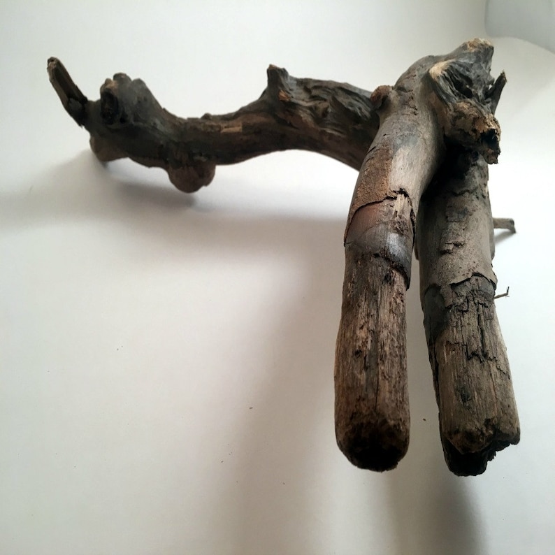 Driftwood Art Aquarim Driftwood Natural Wood Sculptured Driftwood Eco Friendly Decor,Nautical Centerpiece Beach Wedding
