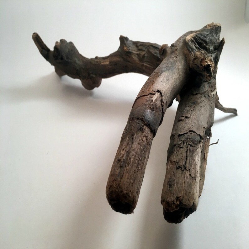 Driftwood Art Aquarim Driftwood Natural Wood Sculptured Driftwood Eco Friendly Decor,Nautical Centerpiece Beach Wedding