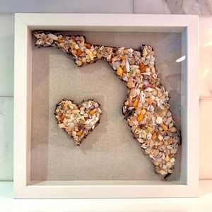 Florida Sea Shell Shadow Box Wall Hanging 11x11