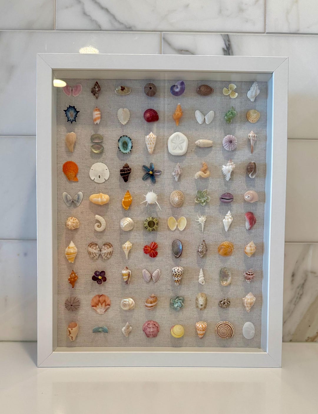 Natural Color Shell Shadow Box Wall Hanging 11x14 - Etsy