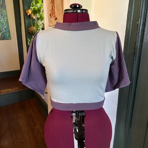 May include: A light blue and purple cropped top with short sleeves. The top is on a dress form.