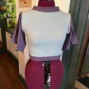 May include: A light blue and purple cropped t-shirt with a mock neck. The shirt is on a dress form.