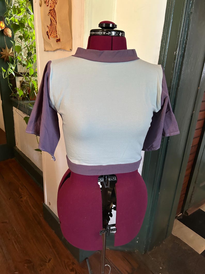 May include: A light blue and purple cropped t-shirt with a mock neck. The shirt is on a dress form.