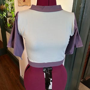 May include: A cropped, light blue t-shirt with a purple trim around the neck and sleeves. The sleeves are a purple color and the shirt is on a red dress form.