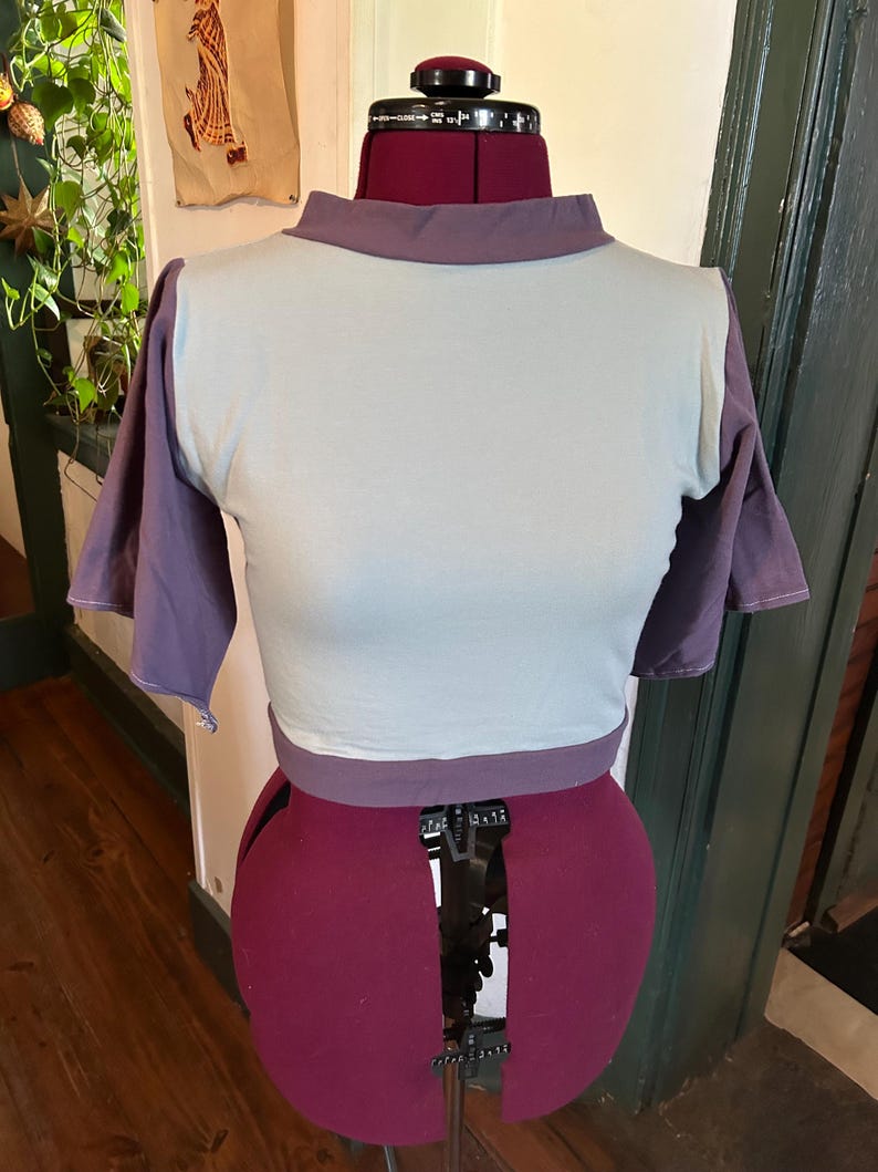 May include: A cropped, light blue t-shirt with a purple trim around the neck and sleeves. The sleeves are a purple color and the shirt is on a red dress form.