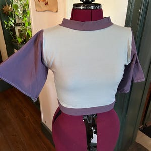 May include: A light blue and purple short-sleeved shirt on a dress form. The shirt has a high neckline and a band of purple fabric around the waist.