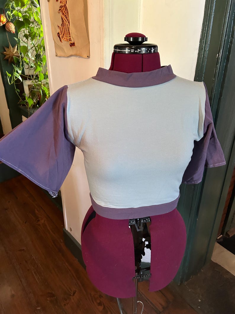 May include: A light blue and purple short-sleeved shirt on a dress form. The shirt has a high neckline and a band of purple fabric around the waist.