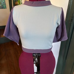 May include: A light blue and purple short-sleeved shirt on a dress form. The shirt has a mock neck and a fitted bodice.