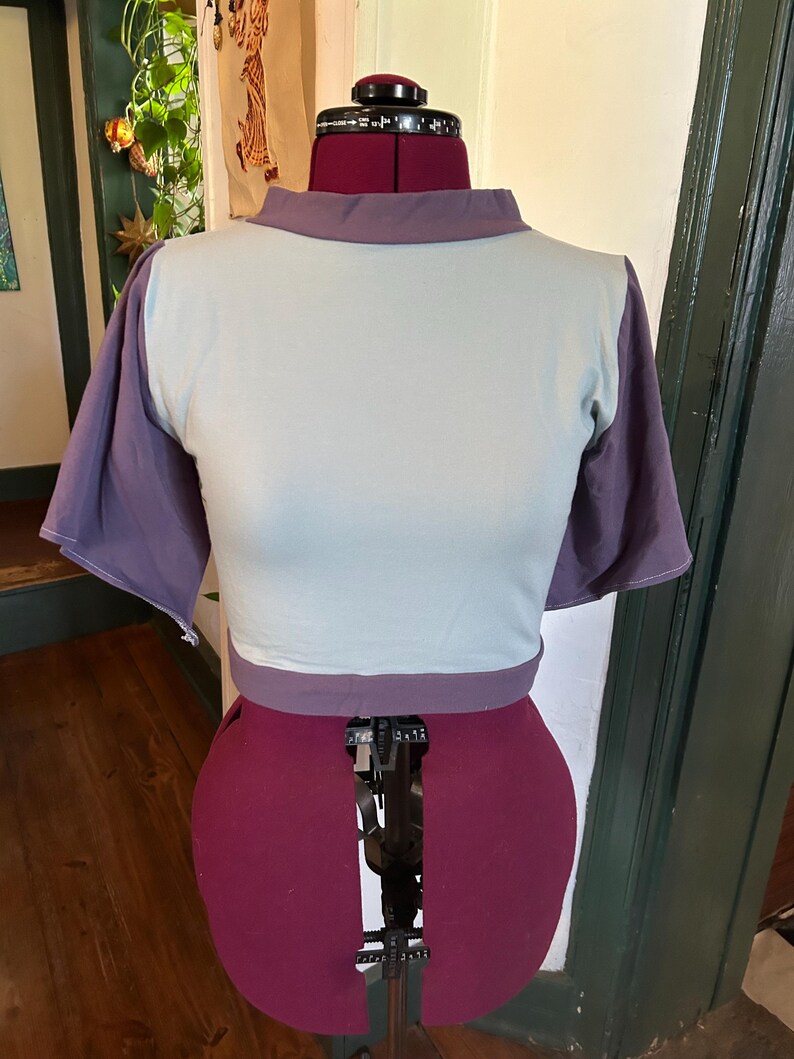 May include: A cropped top with a light blue front and purple sleeves. The top has a mock neck and a band of purple fabric around the bottom.