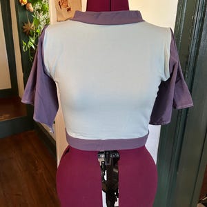 May include: A cropped, two-toned t-shirt with a light blue front and dark gray sleeves and collar. The shirt is displayed on a red dress form.