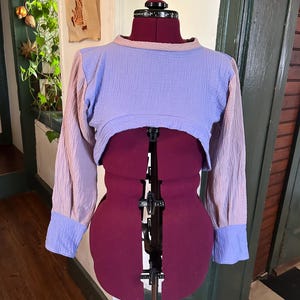 May include: A two-tone crop top in lavender and mauve, displayed on a burgundy dress form. The top features long sleeves with lavender cuffs and a matching lavender neckline. The fabric has a textured, crinkled appearance, suggesting a lightweight material.