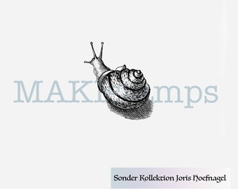 Small garden snail rubber art stamp Joris Hoefnagel SPECIAL COLLECTION - unmounted rubber or cling stamp option (190410)