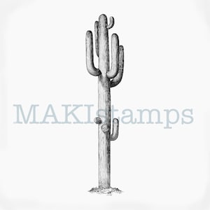 Sello de caucho de cactus saguaro grande (sin montar o adhesivo) (190211)