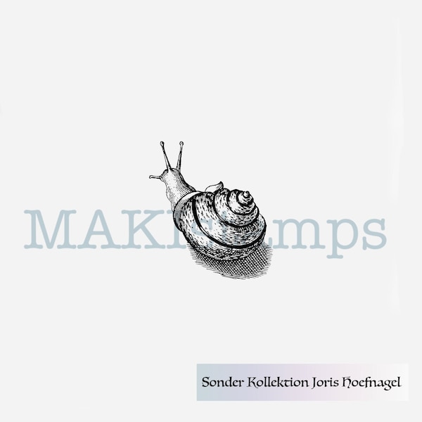 Small garden snail rubber art stamp Joris Hoefnagel SPECIAL COLLECTION - unmounted rubber or cling stamp option (190410)