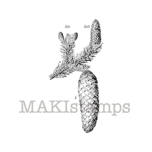 Rubber stamp woodland / Pine cone / Christmas rubber stamp /  rubber only or cling stamp option (140214)
