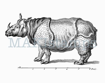 25 Rhinoceros Wooden Rubber Stamp No
