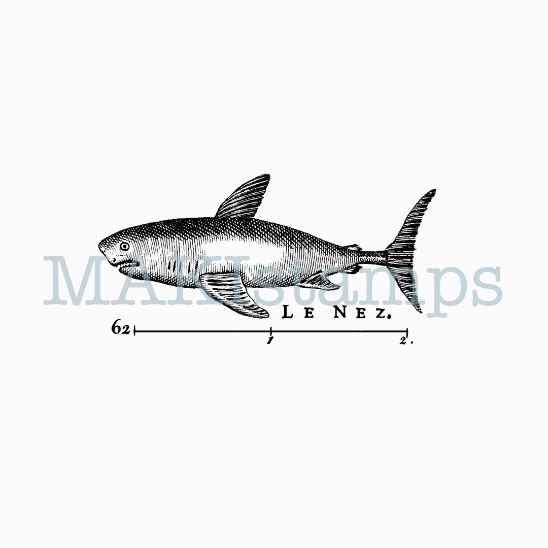 Shark Rubber Stamp From 1874 French Encyclopedia Unmounted Rubber Stamp