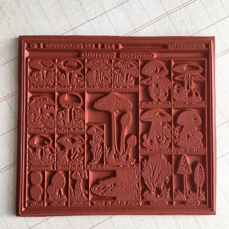 unmounted or cling stamp option 170101 Big mushroom rubber stamp vintage french mushroom chart
