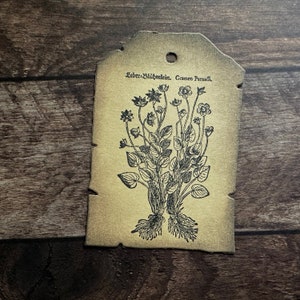 Stempel Leberblümchen * mittelalterlicher Holzschnitt - unmontiertes Stempelgummi oder auf Haftschaum (230610)