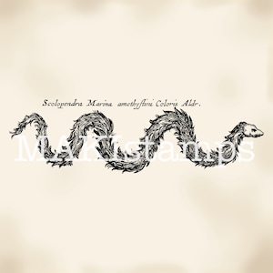 Sea snake mythical creature rubber art stamp - unmounted or cling stamp (190104)