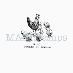 Tampon en caoutchouc pour jouet antique poule et poulets - option de tampon en caoutchouc non monté ou de tampon adhésif (220313)