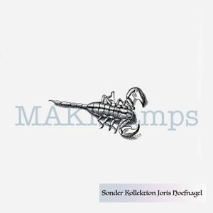 Tiny scorpion rubber stamp  Joris Hoefnagel SPECIAL COLLECTION - unmounted rubber or cling stamp option (190512)