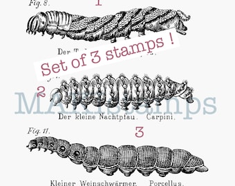 Three caterpillars rubber stamp set - unmounted rubber stamp or cling stamp option (200312)