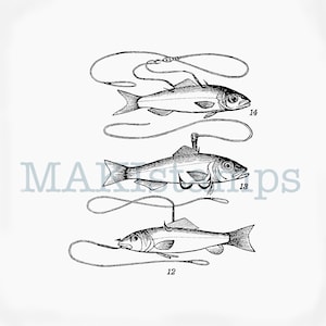 Fishing rubber stamp fishes on the hook - unmounted or cling stamp (170510)