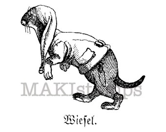 Kleines Wiesel / unmontiertes Stempel / Tier Stempel (130405)