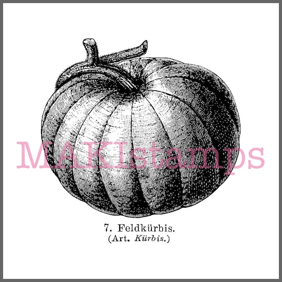 Halloween stamp / vegetable garden pumpkin - unmounted rubber stamp or cling stamp (170602)
