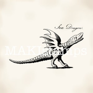 Little dragon stamp Sea Dragon mythical creature stamp - unmounted or cling stamp (190111)