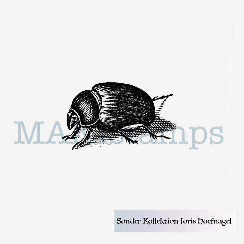 Rubber art stamp medieval beetle Joris Hoefnagel SPECIAL COLLECTION 190412 unmounted rubber or cling stamp option