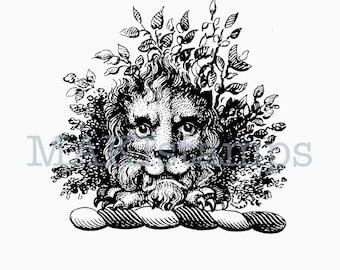 May include: Black and white illustration of a lion's head with a leafy mane and foliage. The lion rests on a decorative rope-like element. The text "Masters Studios" is partially visible.