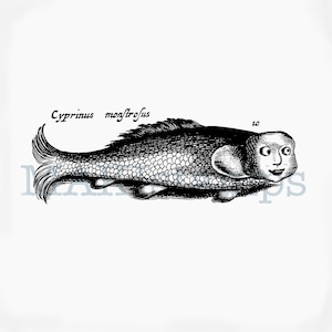Fish with face rubber stamp scientific fish stamp from 1665s original engraving - unmounted or cling stamp (170512)