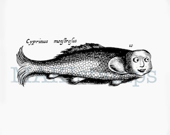 Fish with face rubber stamp scientific fish stamp from 1665s original engraving - unmounted or cling stamp (170512)